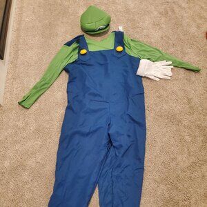 Adult Luigi Costume